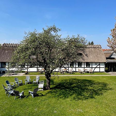 Kirsebaerkroen - The Inn Between Praesto Exterior photo